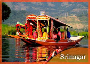 Srinagar Package 